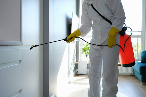 Best Same-Day Mold Removal  in North Key Largo, FL