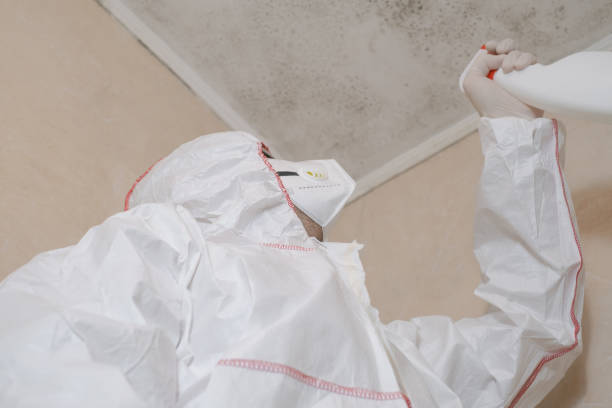 Best Emergency Mold Removal  in North Key Largo, FL